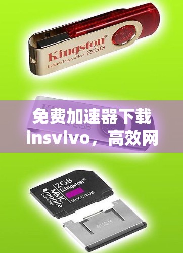 免费加速器下载insvivo，高效网络解决方案