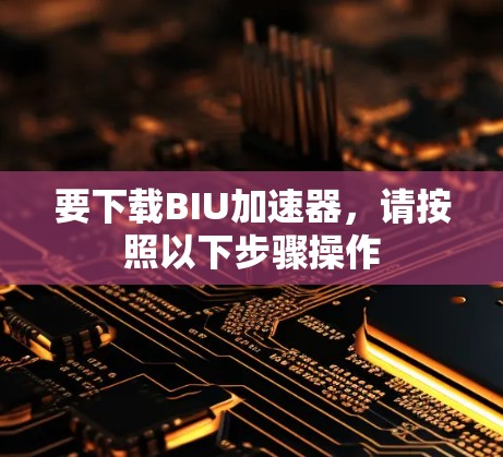 要下载BIU加速器,请按照以下步骤操作