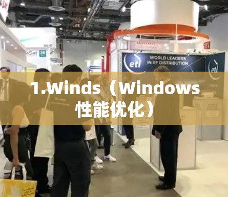 1.Winds（Windows性能优化）