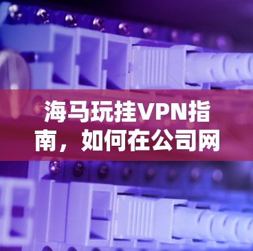 海马玩挂VPN指南,如何在公司网络中顺利连接国际服务器