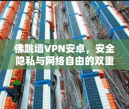 佛跳墙VPN安卓,安全隐私与网络自由的双重保障