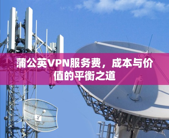 蒲公英VPN服务费，成本与价值的平衡之道