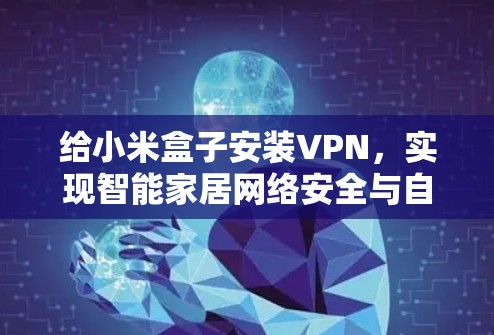 给小米盒子安装VPN,实现智能家居网络安全与自由访问 给小米盒子安装VPN,实现智能家居网络安全与自由访问