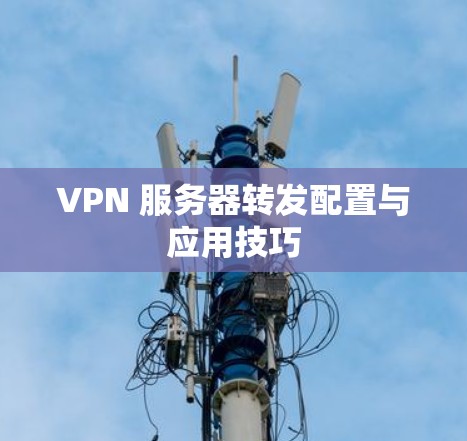 VPN 服务器转发配置与应用技巧