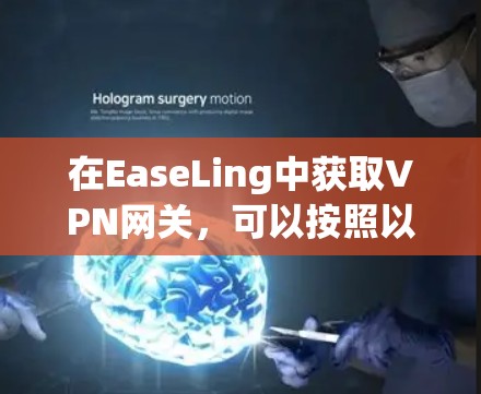 在EaseLing中获取VPN网关,可以按照以下步骤进行操作 在EaseLing中获取VPN网关,可以按照以下步骤进行操作