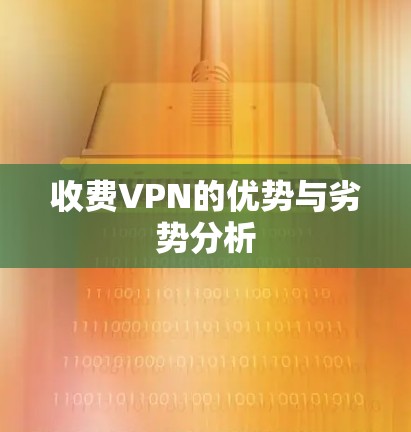 收费VPN的优势与劣势分析 收费VPN的优势与劣势分析