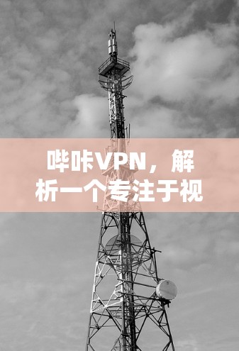 哔咔VPN,解析一个专注于视频流的VPN服务