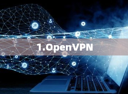 1.OpenVPN