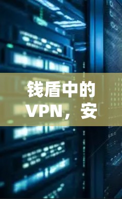 钱盾中的VPN,安全通信的双重保障