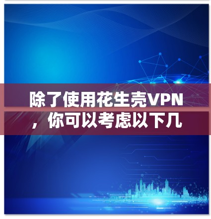 除了使用花生壳VPN，你可以考虑以下几种替代方案