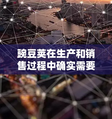 豌豆荚在生产和销售过程中确实需要使用VPN来保护数据安全和隐私。以下是详细的解释