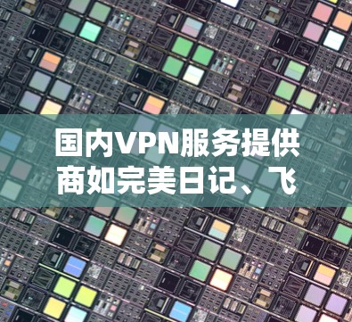 国内VPN服务提供商如完美日记、飞鸽、赛睿等，各具特色，以下是对它们的分析和建议
