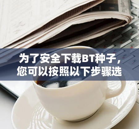 为了安全下载BT种子，您可以按照以下步骤选择和使用VPN