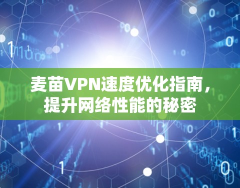 麦苗VPN速度优化指南，提升网络性能的秘密