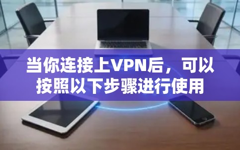当你连接上VPN后，可以按照以下步骤进行使用