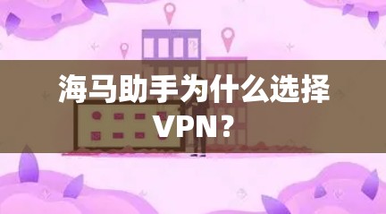 海马助手为什么选择VPN？