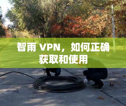 智雨 VPN,如何正确获取和使用 智雨 VPN,如何正确获取和使用