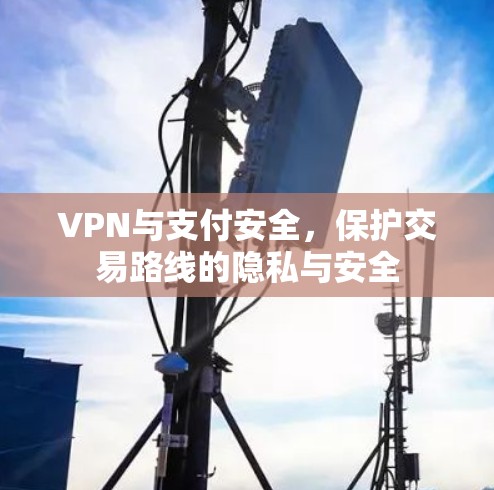 VPN与支付安全，保护交易路线的隐私与安全