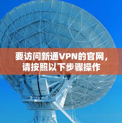 要访问新通VPN的官网，请按照以下步骤操作