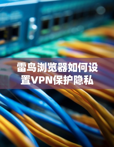 雷鸟浏览器如何设置VPN保护隐私