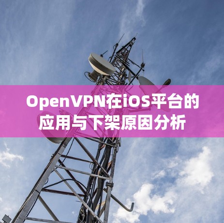 OpenVPN在iOS平台的应用与下架原因分析