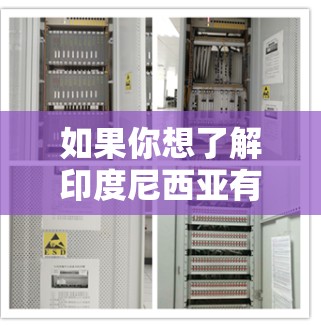 如果你想了解印度尼西亚有关VPN（虚拟专用网络）的信息，可以从以下几个方面入手