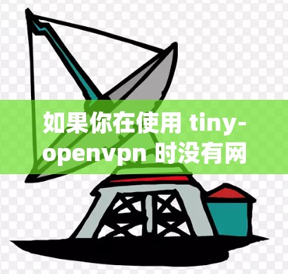 如果你在使用 tiny-openvpn 时没有网络连接，可能是因为以下原因导致的