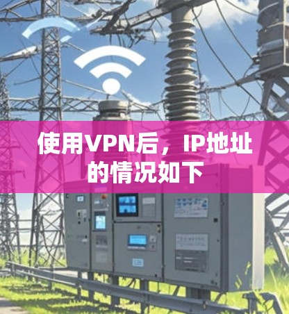 使用VPN后，IP地址的情况如下