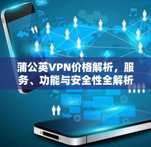 蒲公英VPN价格解析，服务、功能与安全性全解析