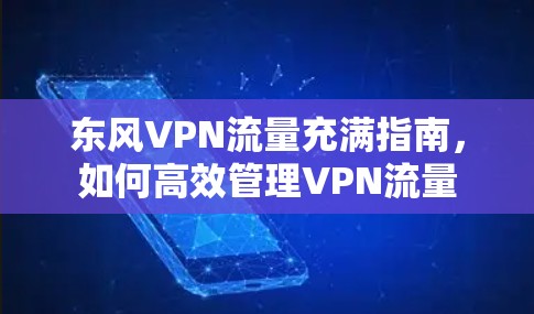 东风VPN流量充满指南，如何高效管理VPN流量