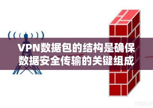 VPN数据包的结构是确保数据安全传输的关键组成部分。以下是VPN数据包的典型结构