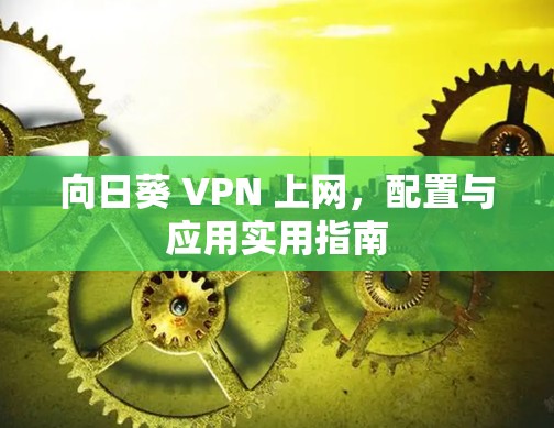 向日葵 VPN 上网，配置与应用实用指南