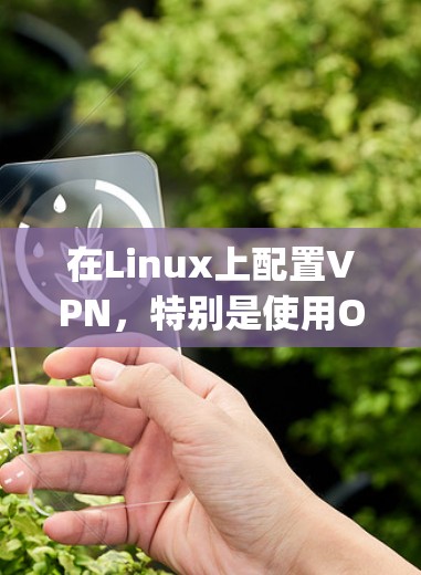 在Linux上配置VPN，特别是使用OpenVPN，可以通过以下步骤进行设置