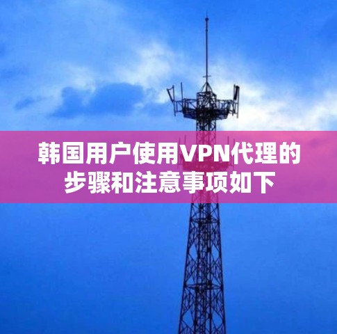 韩国用户使用VPN代理的步骤和注意事项如下