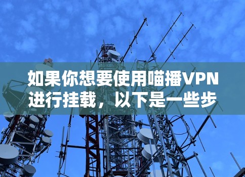 如果你想要使用喵播VPN进行挂载，以下是一些步骤说明