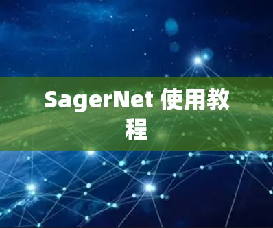 SagerNet 使用教程 SagerNet 使用教程