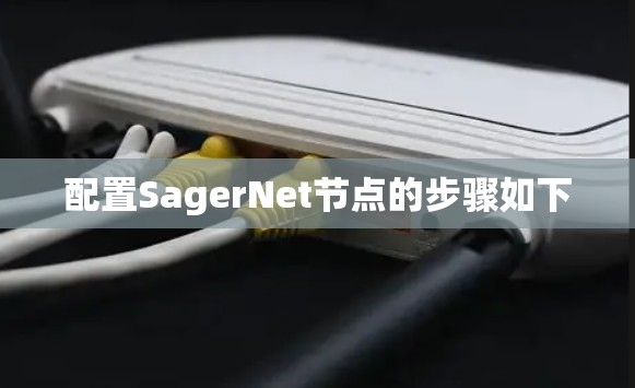 配置SagerNet节点的步骤如下 配置SagerNet节点的步骤如下