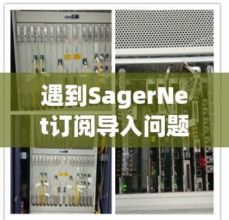 遇到SagerNet订阅导入问题时,可以按照以下步骤逐步排查和解决 遇到SagerNet订阅导入问题时,可以按照以下步骤逐步排查和解决