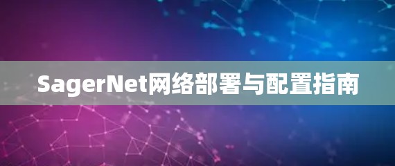 SagerNet网络部署与配置指南 SagerNet网络部署与配置指南