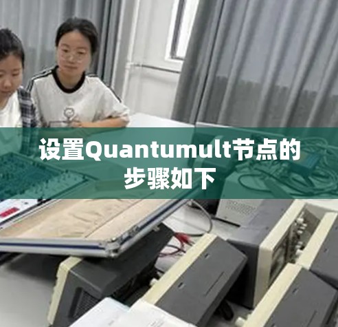 设置Quantumult节点的步骤如下 设置Quantumult节点的步骤如下