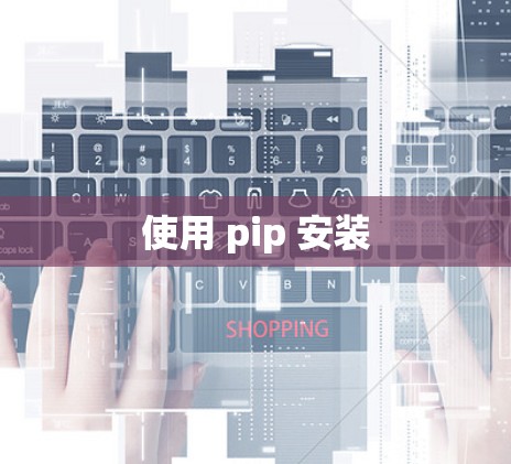 使用 pip 安装