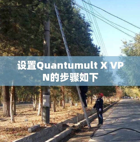 设置Quantumult X VPN的步骤如下