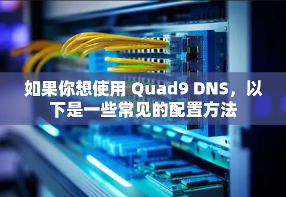 如果你想使用 Quad9 DNS，以下是一些常见的配置方法