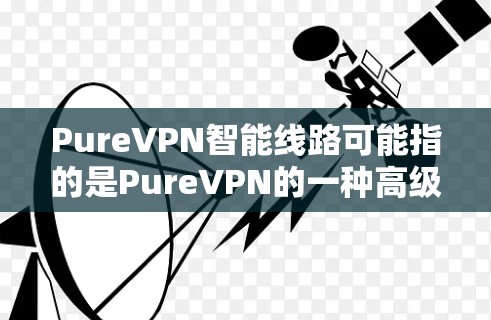 PureVPN智能线路可能指的是PureVPN的一种高级网络优化和安全功能，旨在通过智能路由和先进的网络技术，提升用户的网络连接速度、安全性和隐私保护能力。以下是一些可能的解释和相关信息