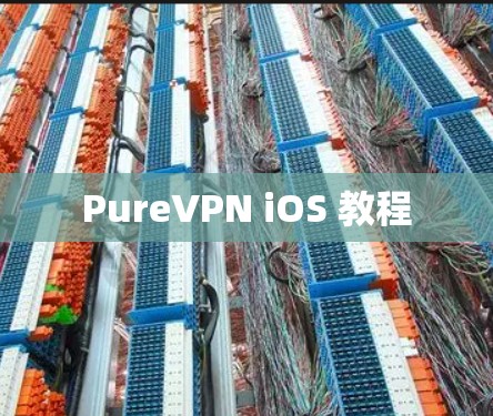 PureVPN iOS 教程