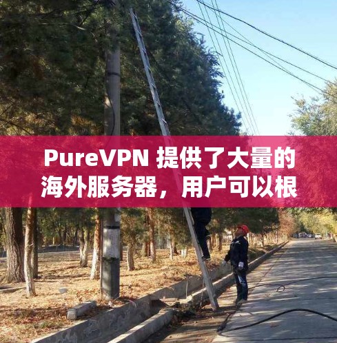 PureVPN 提供了大量的海外服务器,用户可以根据需求选择合适的服务器来获取更好的网络体验。以下是关于 PureVPN 海外服务器的一些关键信息 PureVPN 提供了大量的海外服务器,用户可以根据需求选择合适的服务器来获取更好的网络体验。以下是关于 PureVPN 海外服务器的一些关键信息