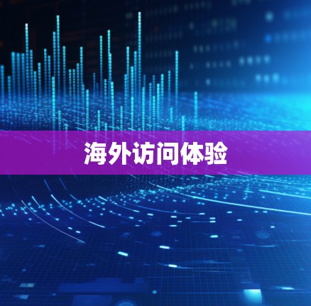 海外访问体验 海外访问体验