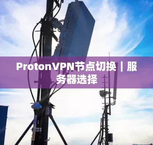ProtonVPN节点切换｜服务器选择