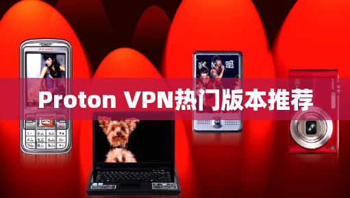 Proton VPN热门版本推荐