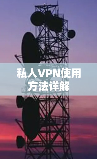 私人VPN使用方法详解 私人VPN使用方法详解